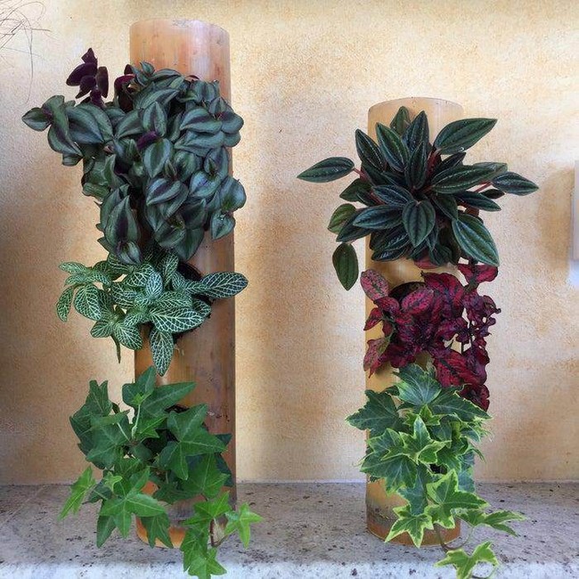 Bamboo Wall Planters