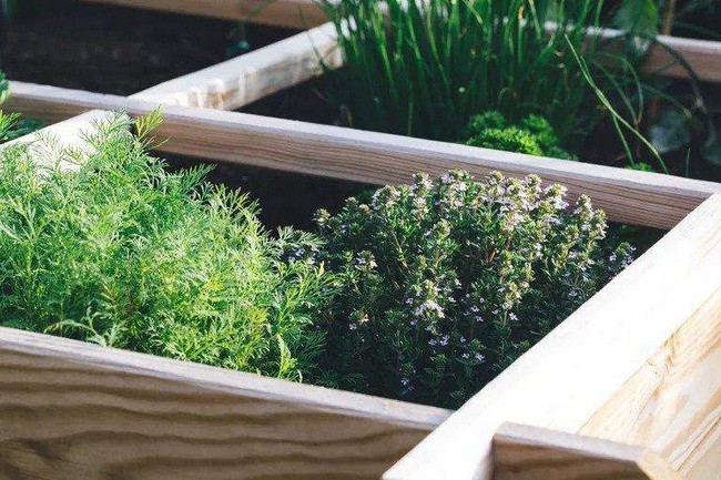 DIY Garden Box 1