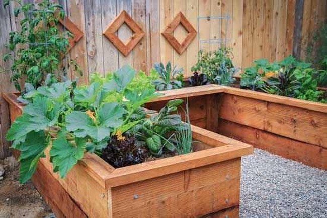 Plant Box