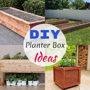 DIY Planter Box Ideas