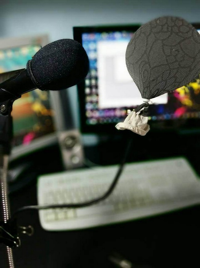 DIY Pop Filter 1