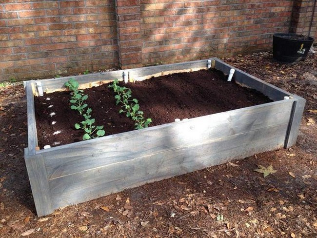 Raised Bed Wicking Garden