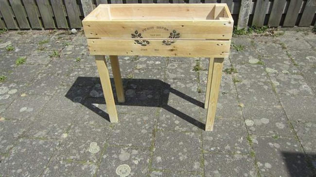 Raised plant Box