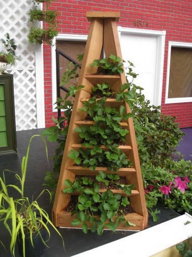 DIY Strawberry Pyramid Planter