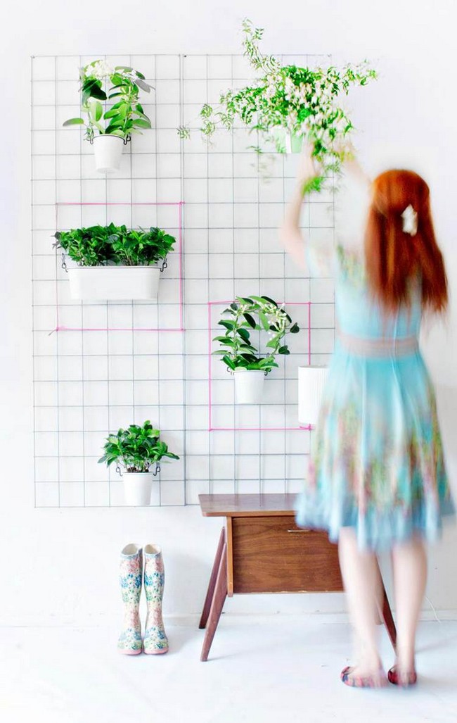 Green DIY Wall Planter