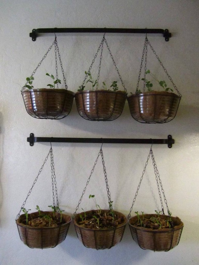 Hanging Vegetable Planters DIY