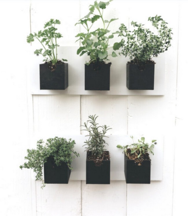 How To Make A DIY Hanging Herb Garden