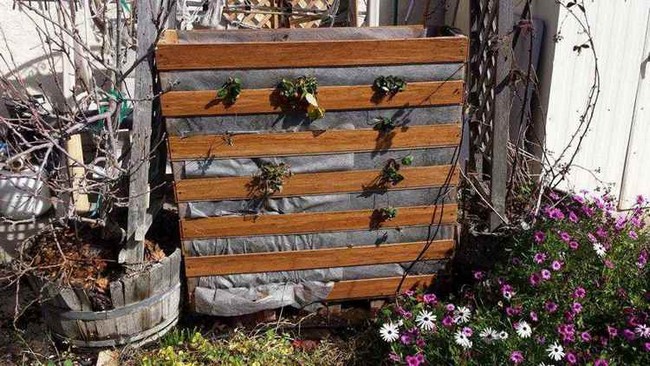 Simple Vertical Planter 