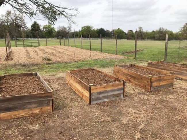 30-Minute Raised Garden