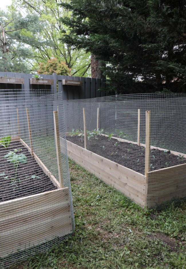 Cedar Garden Bed With a Metal Fence