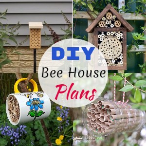 DIY Bee House Plans