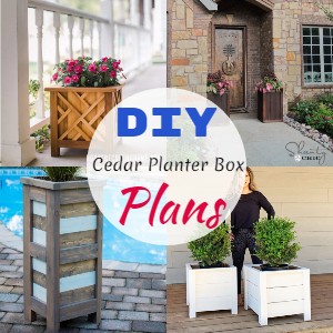 DIY Cedar Planter Box Plans