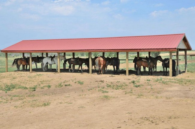 DIY Horse Run-In Shelters