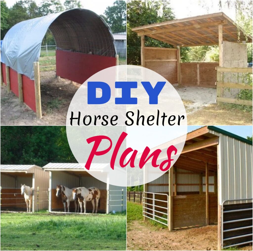 DIY Horse Shelter Plans 1