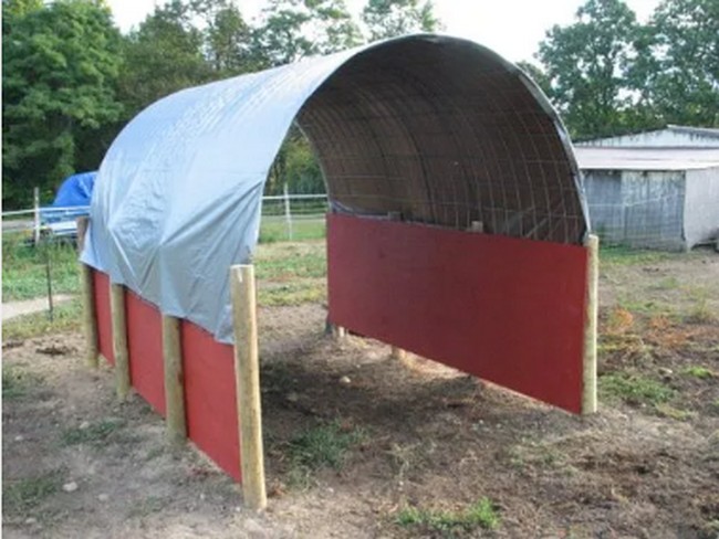 DIY Horse Shelter on a Budget