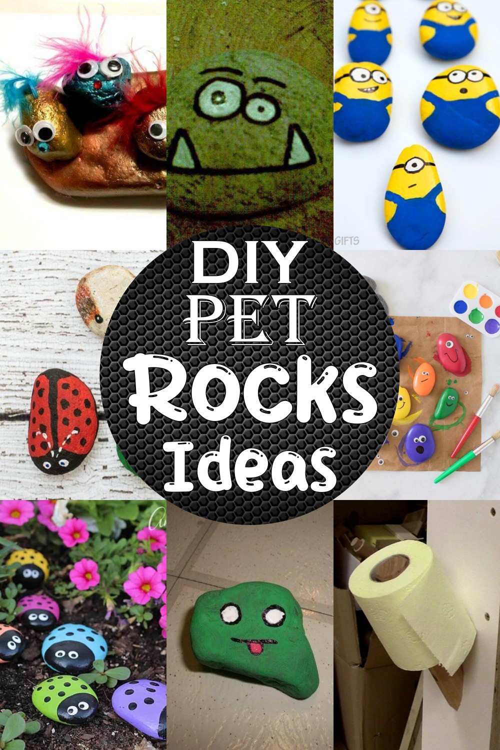 24 DIY Pet Rocks Ideas For Kids Fun - DIYnCrafty