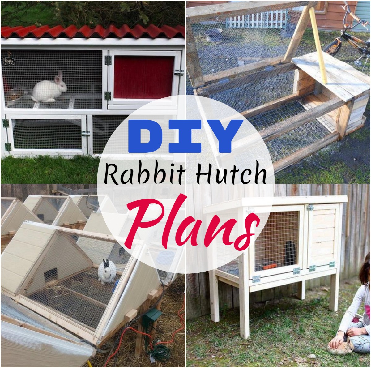 DIY Rabbit Hutch Plans 1