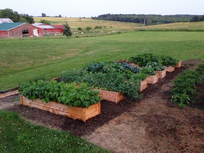 Fence Picket Cedar Garden Bed