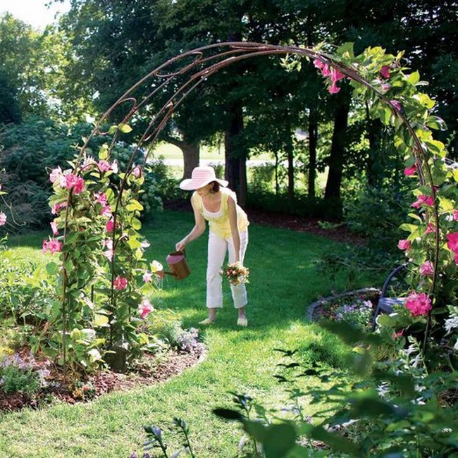 Garden Arch with Climbing Plants