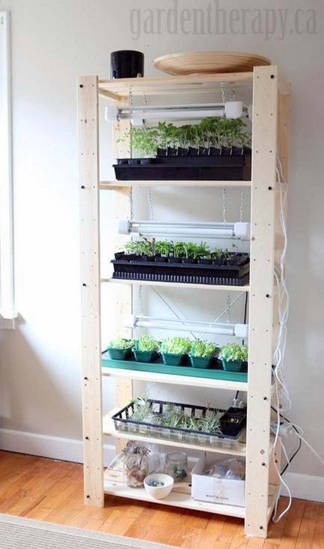 Grow Light Seedling Shelf