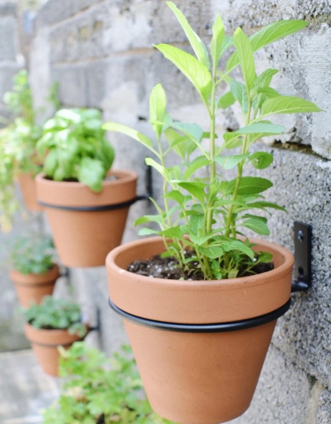 Hanging Pot Herb Garden