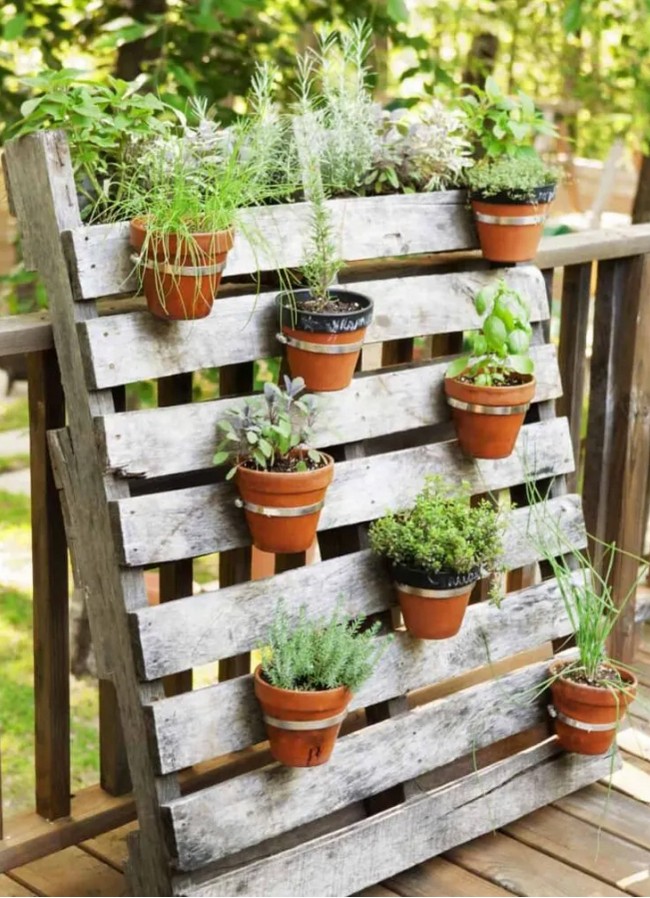 Herb Garden On A Pallet