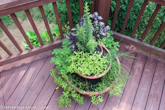 Herb Garden Tower