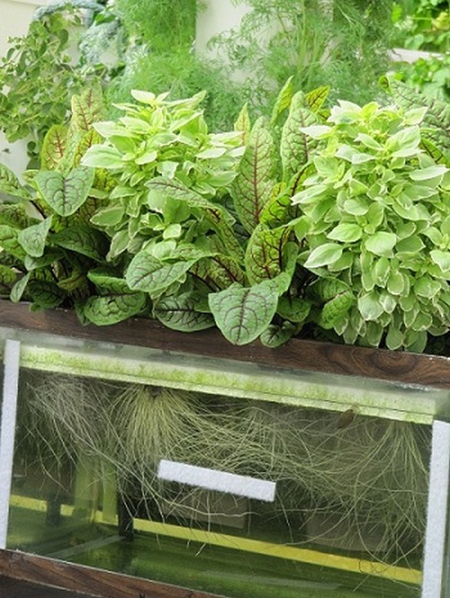 Kratky System