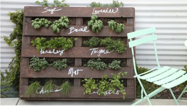 Leaning Pallet Herb Garden