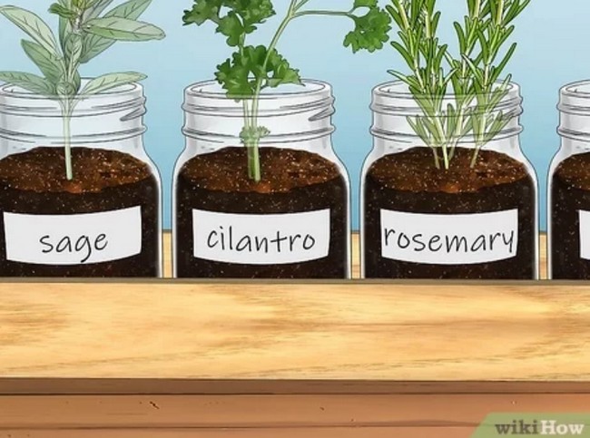 Mason Jar Herb Garden