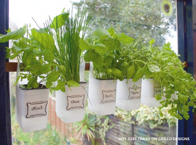 Milk Bottle Herb Garden