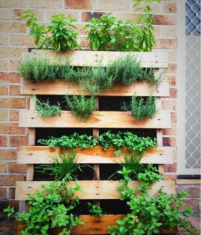 Pallets As Herb Gardens