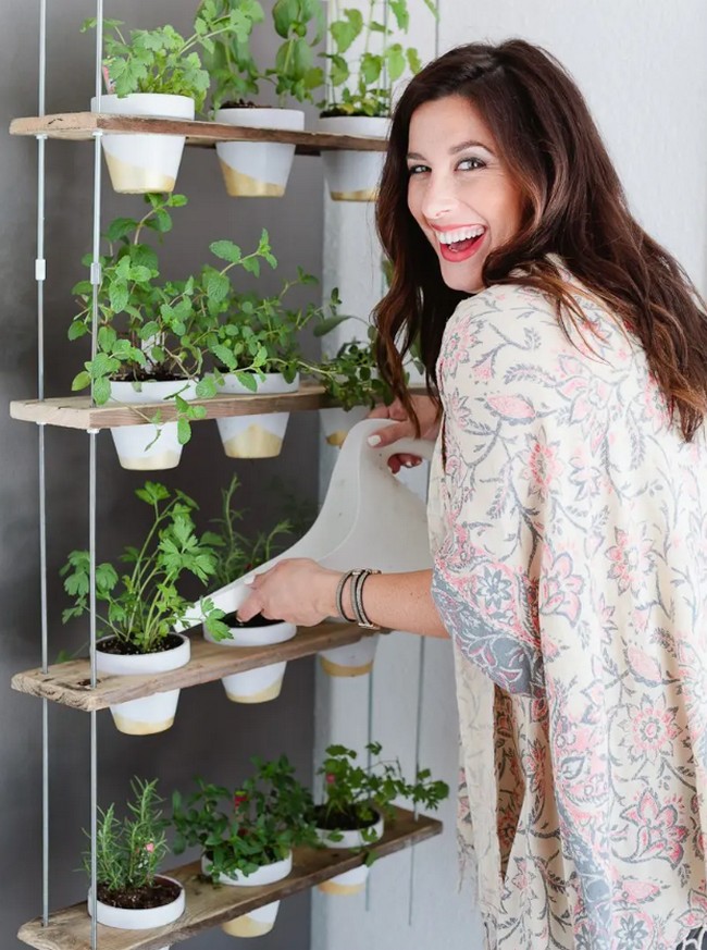 Potted Hanging Herb Garden