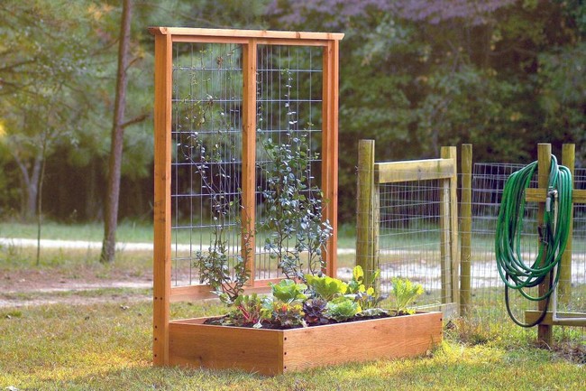 Flower Bed with a Trellis