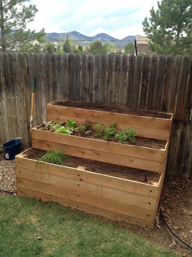 Tiered Raised Cedar Herb Garden