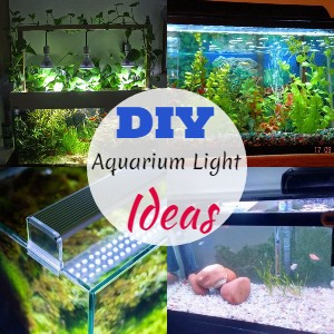 DIY Hinged Glass Aquarium Lids - Odin Aquatics