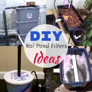 DIY Koi Pond Filters Ideas