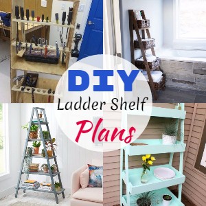 DIY Ladder Shelf Plans