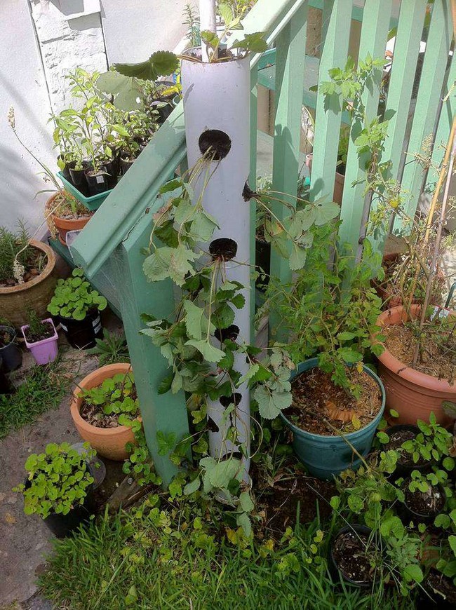 DIY Vertical Tube Planter