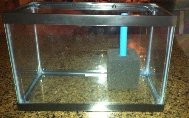  How To Make A Filter For Your Aquarium