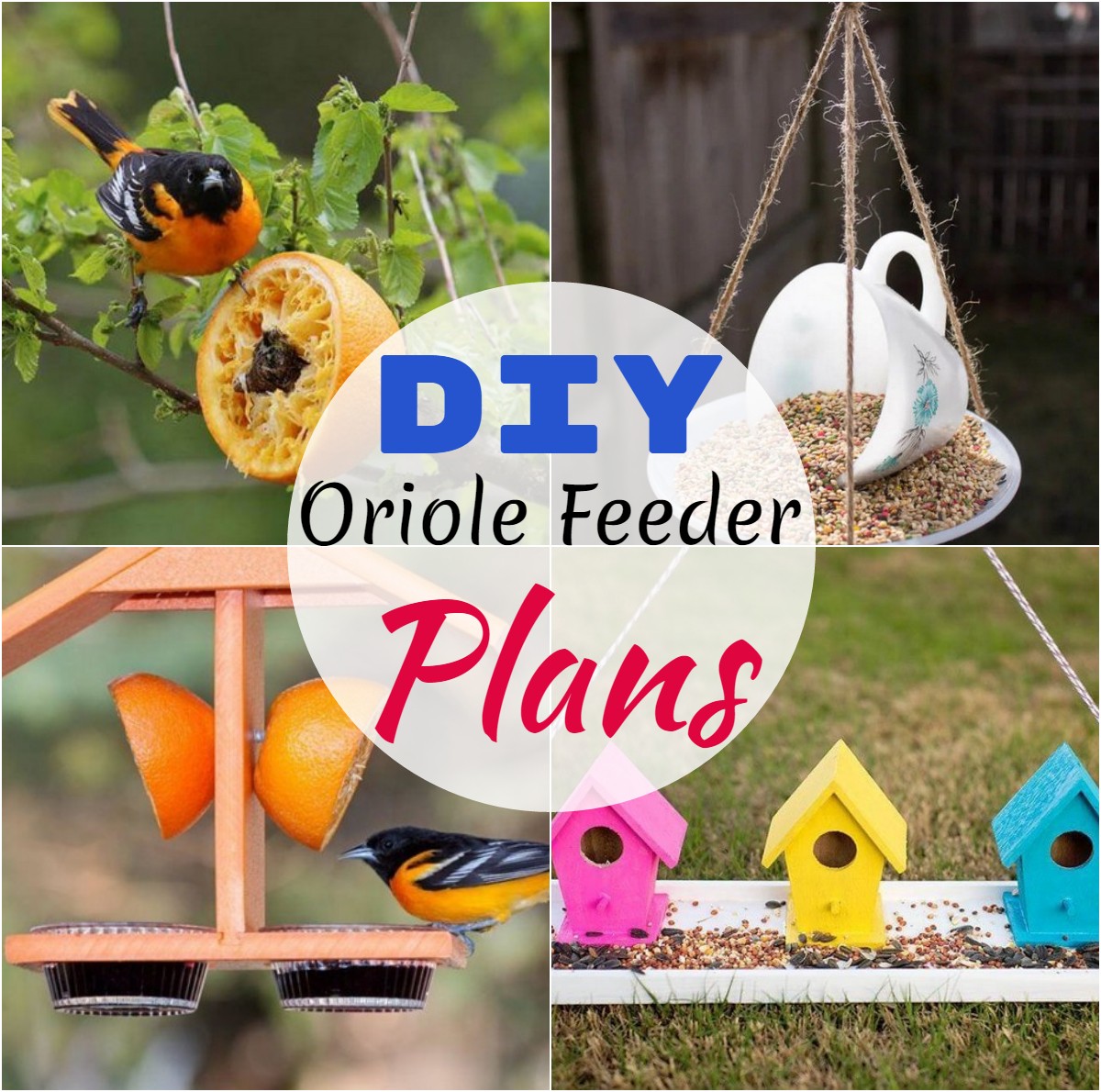 DIY Oriole Feeder Plans 1