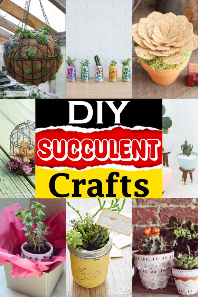 Creative DIY Succulent Crafts - DIYnCrafty