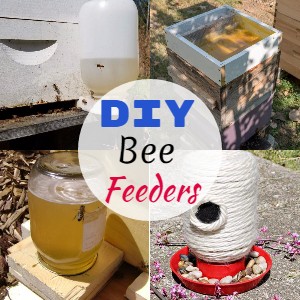 DIY Bee Feeders