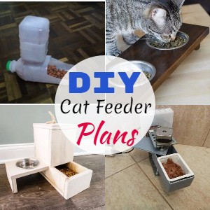 DIY Cat Feeder Plans