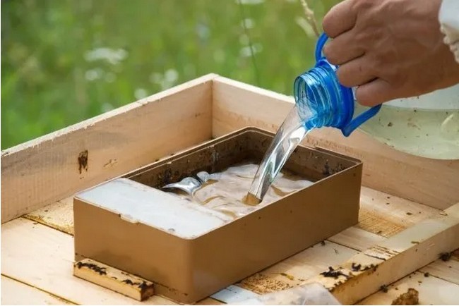 DIY Honey Bee Feeder