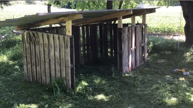 DIY Pallet Goat Shelter