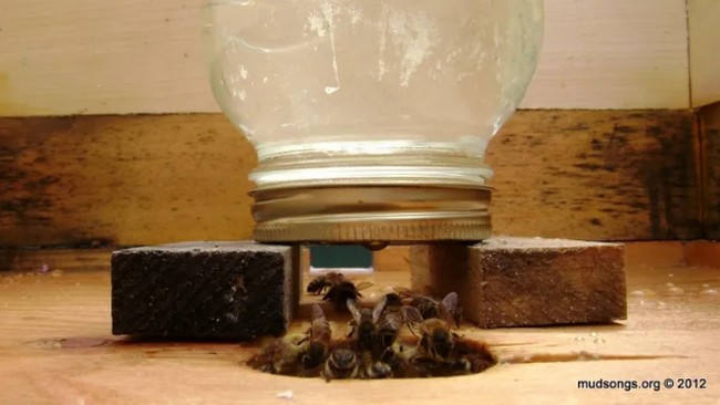 How To Install A Jar Feeder