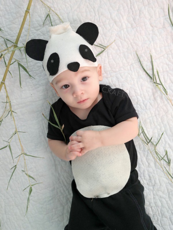 Baby Panda Bear Costume Idea