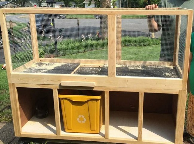 Box Guinea Cage