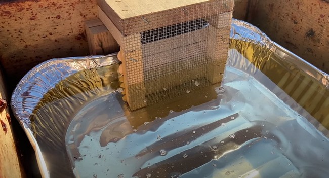 Building A Top Feeder For A Bee Hive